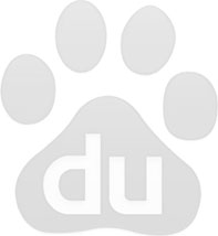 SEO優化，企業網站優化