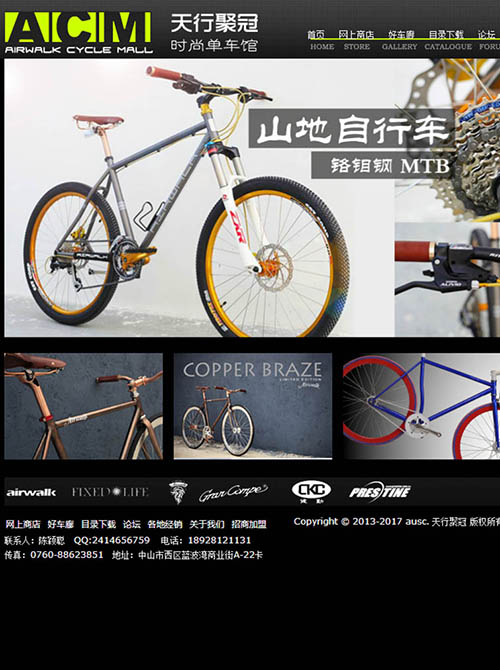 死飛山地自行車品牌型網(wǎng)站建設